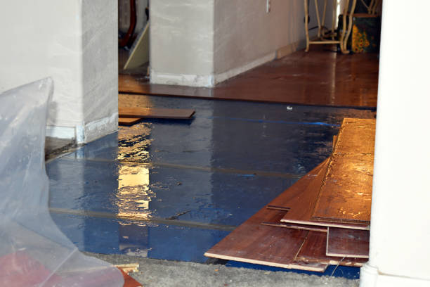 Professional Water Extraction technician working in Bleiblerville, TX